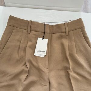 Aritzia Men's Brown Chinos